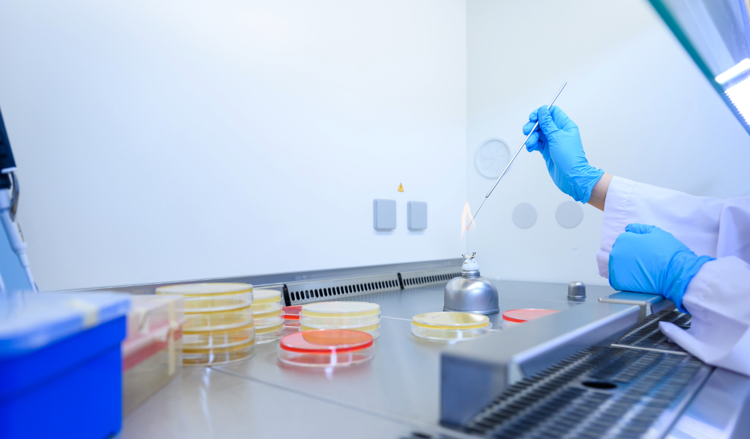 Aseptic Processing